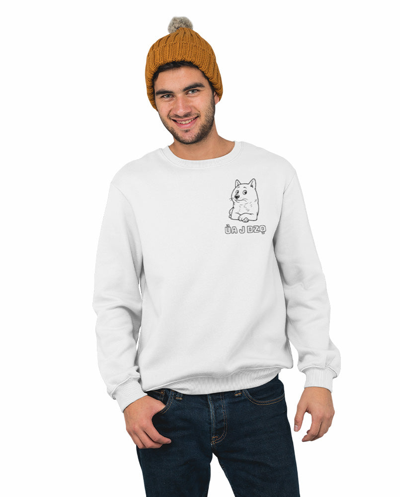 Young man wearing a white sweatshirt with a cute dog illustration and the Vietnamese phrase “Ủa J Dzọ.” A cozy and playful pullover from a small online apparel shop offering cute, funny, and kawaii-inspired designs for teens and young adults.